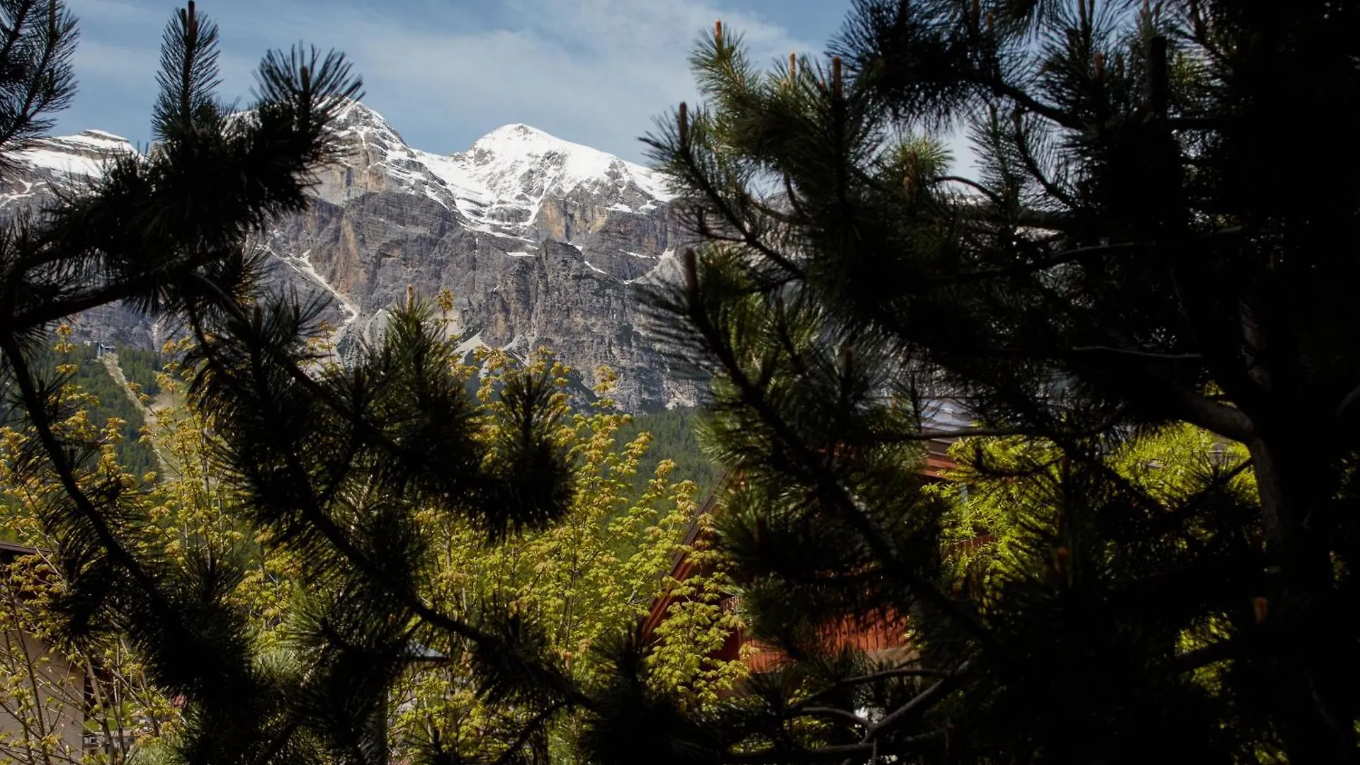 Apartment Lioda Castle Cortina d'Ampezzo